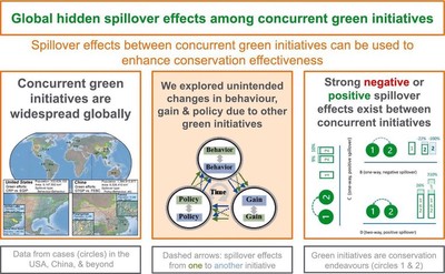 Global hidden spillover effects among concurrent green initiatives