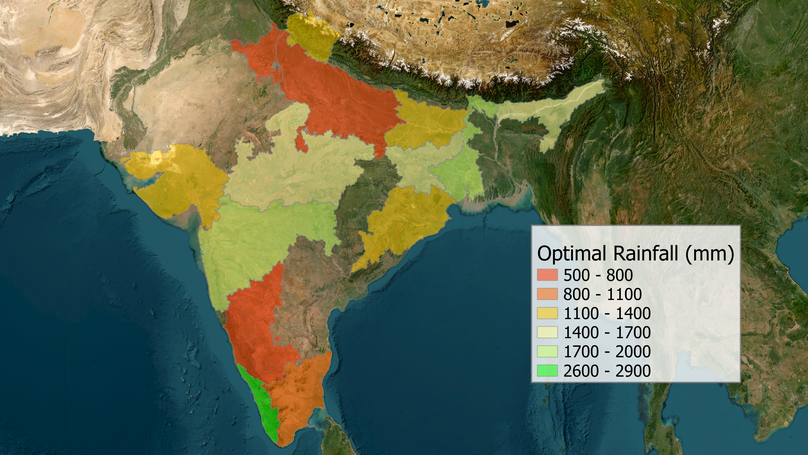 Optimal rainfall threshold for monsoon rice production in India varies across space and time