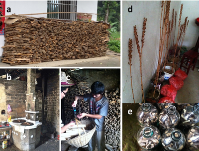 Fig. 3. Fuelwood use as an energy source by rural households during the household survey.